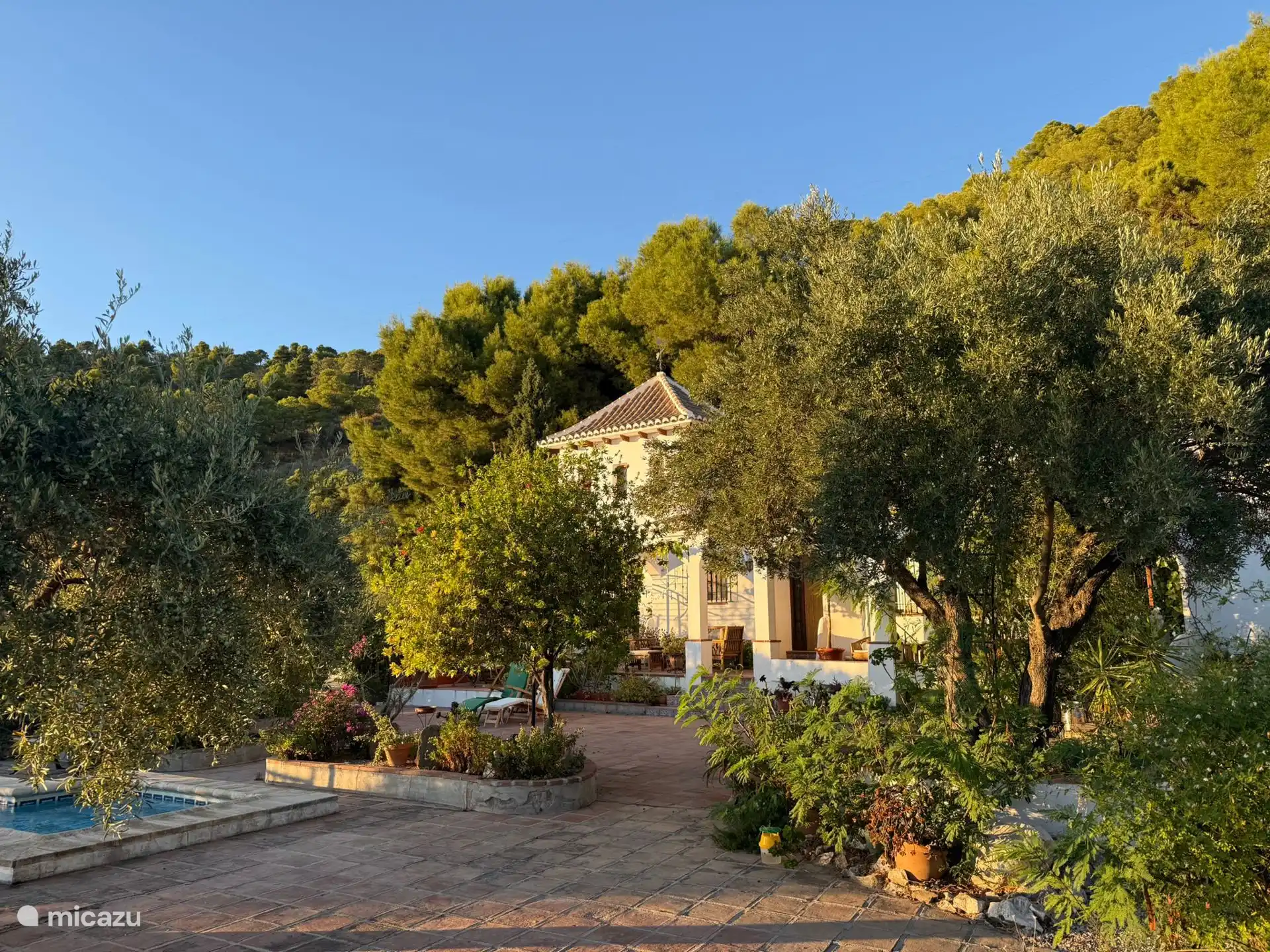 Front view from the terrace