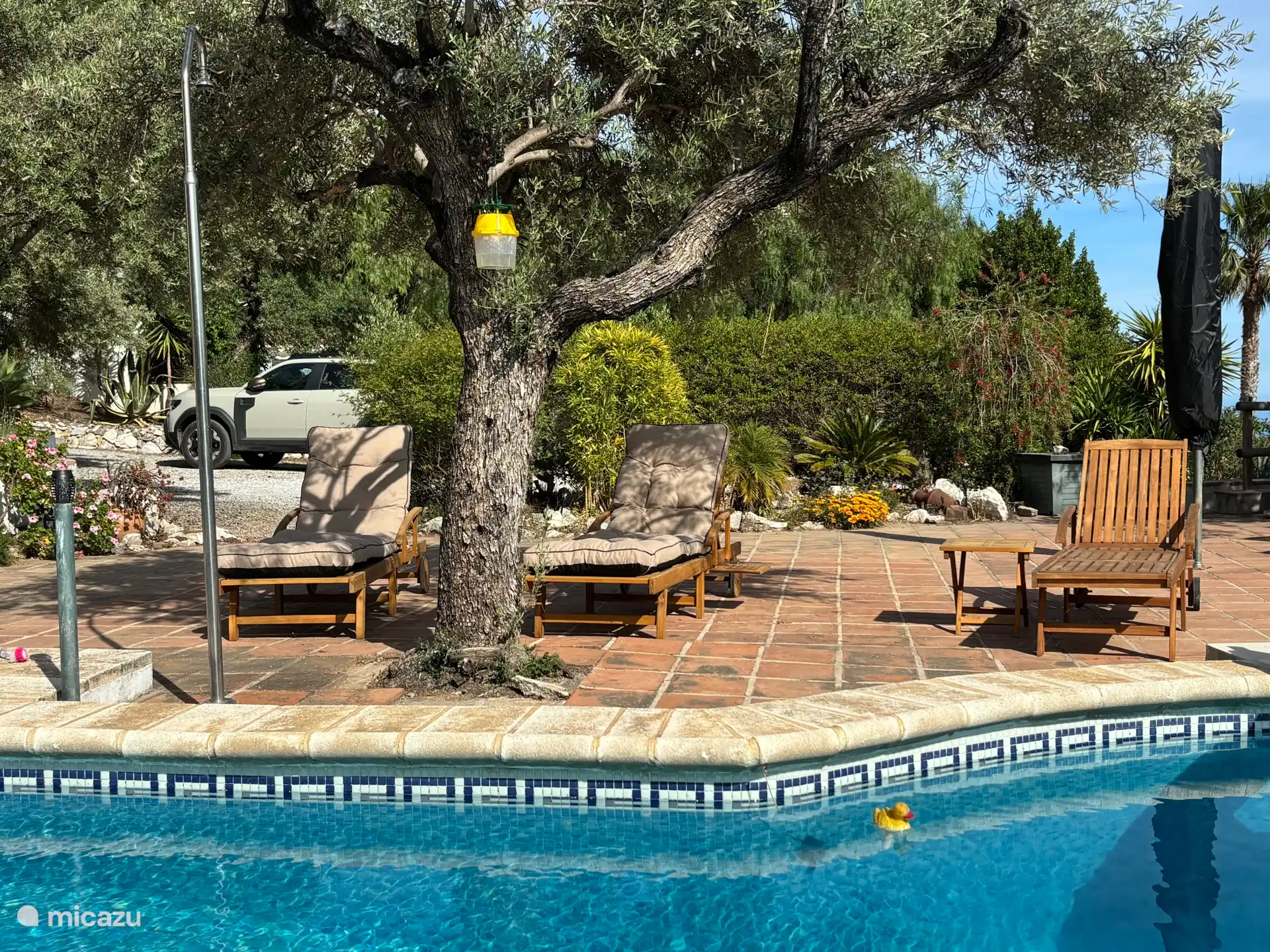 Sunbeds by the pool with space for several cars behind the hedge