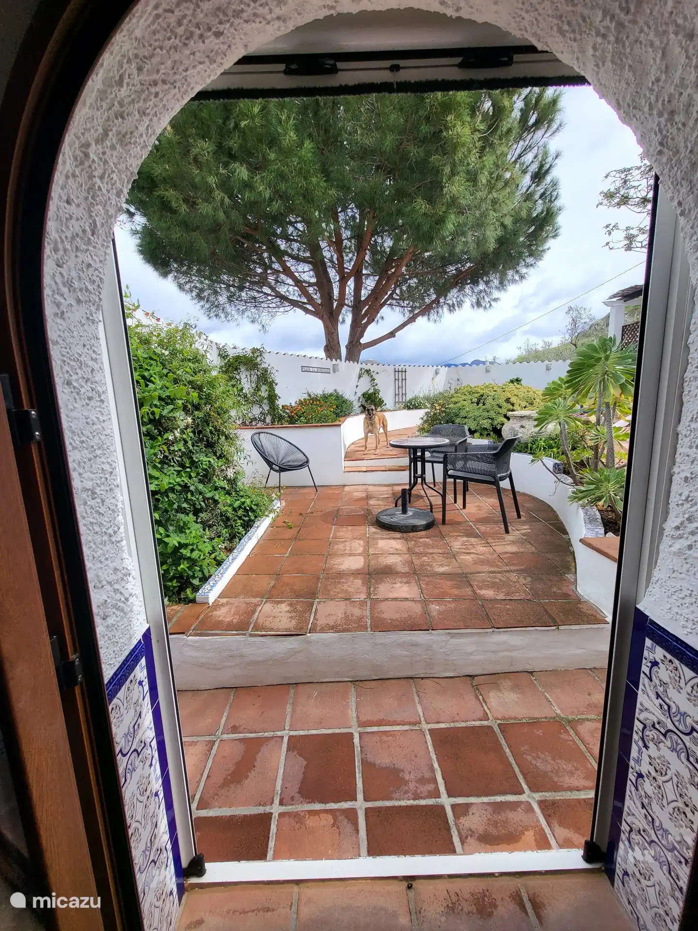Terrasse privée au calme.