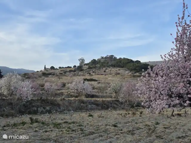 Finca Rustica  en España, Valencia, Jijona - finca vistas, rutas de senderismo