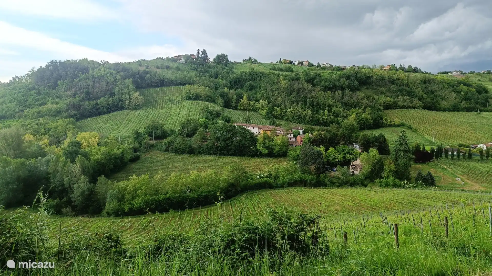 UMGEBUNG ALLES WEINBERGE