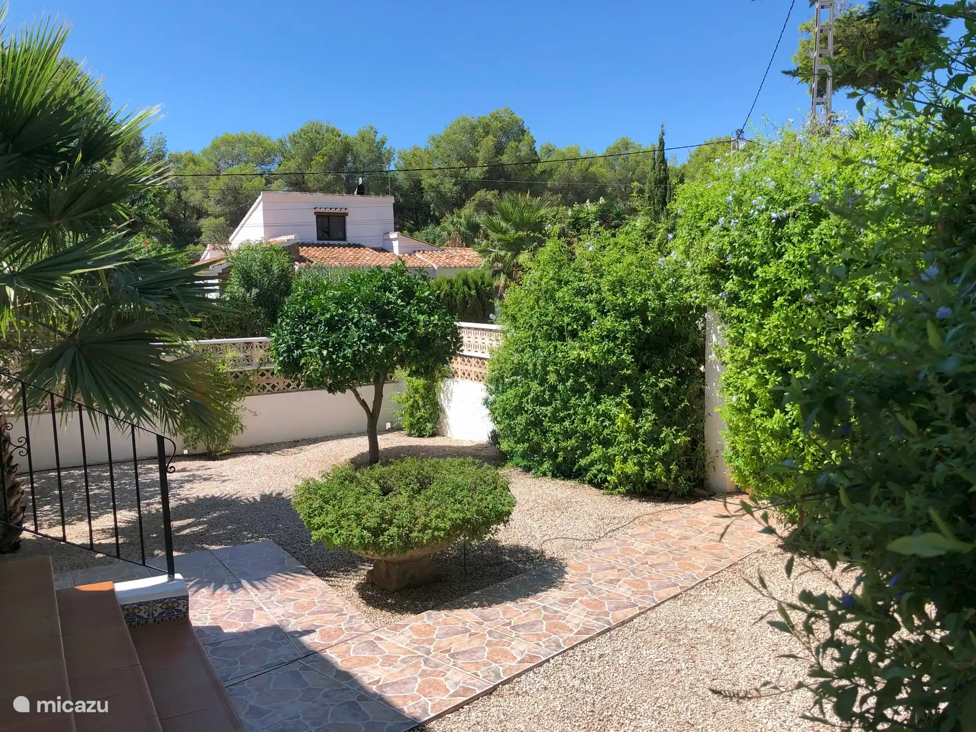 Garten mit Obstbäumen