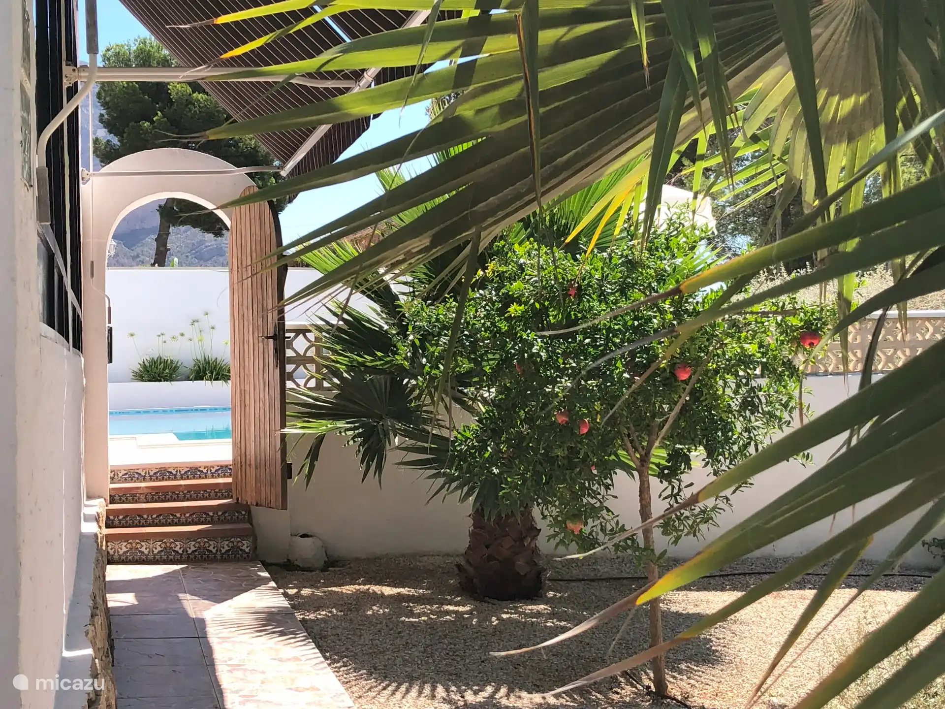 Garten und Granatapfel mit Blick auf den Pool