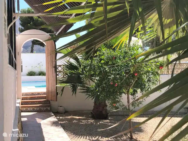 Casa Augusta en el Montgó Jávea en España, Costa Blanca, Dénia - villa Jardín y granada, con vistas a la piscina