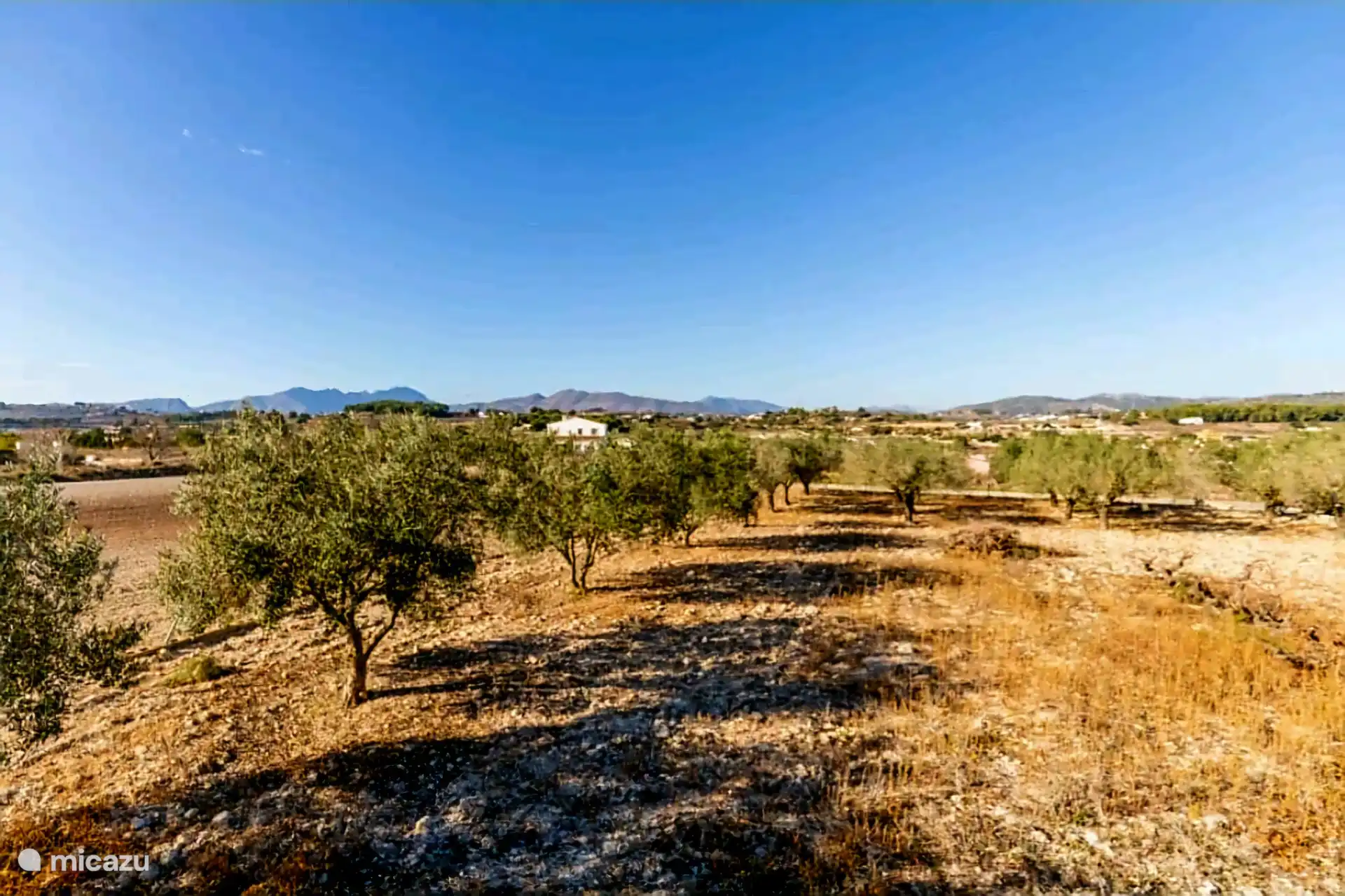 Vista olivos Außenbereich