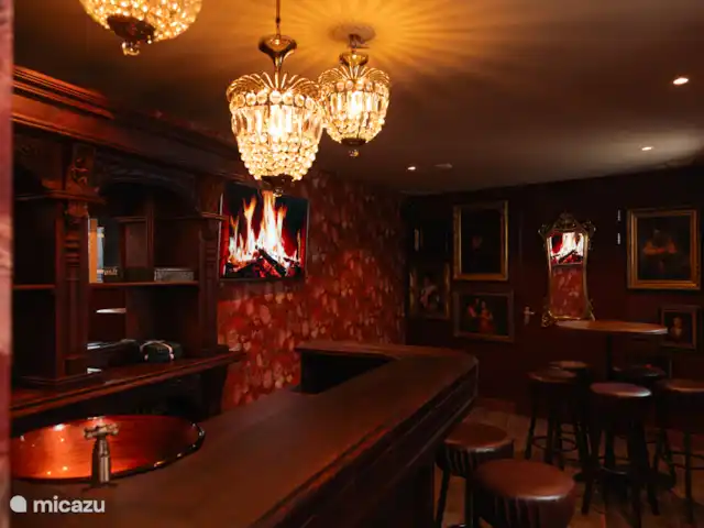 Villa citadine 't Stadshuus  | Pays-Bas, Gueldre, Elburg - villa Bar vintage avec tourne-disque.