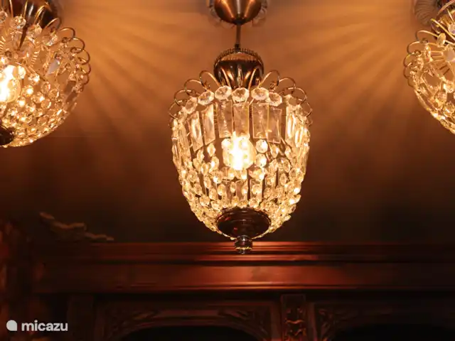 Villa citadine 't Stadshuus  | Pays-Bas, Gueldre, Elburg - villa Vintage Bar