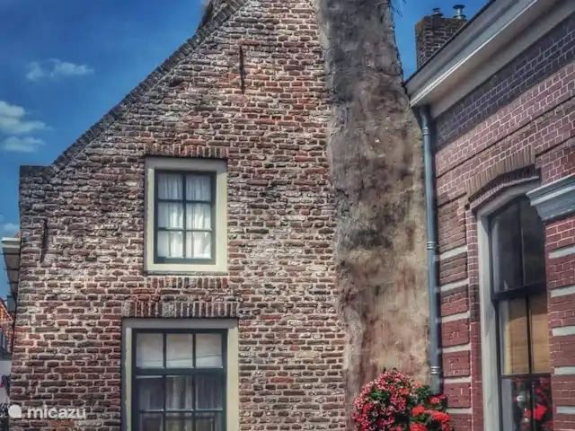 Villa citadine 't Stadshuus  | Pays-Bas, Gueldre, Elburg - villa Ville hanséatique d’Elbourg