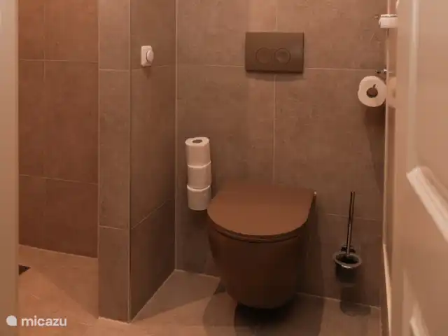 Villa citadine 't Stadshuus  | Pays-Bas, Gueldre, Elburg - villa Douche à effet pluie.