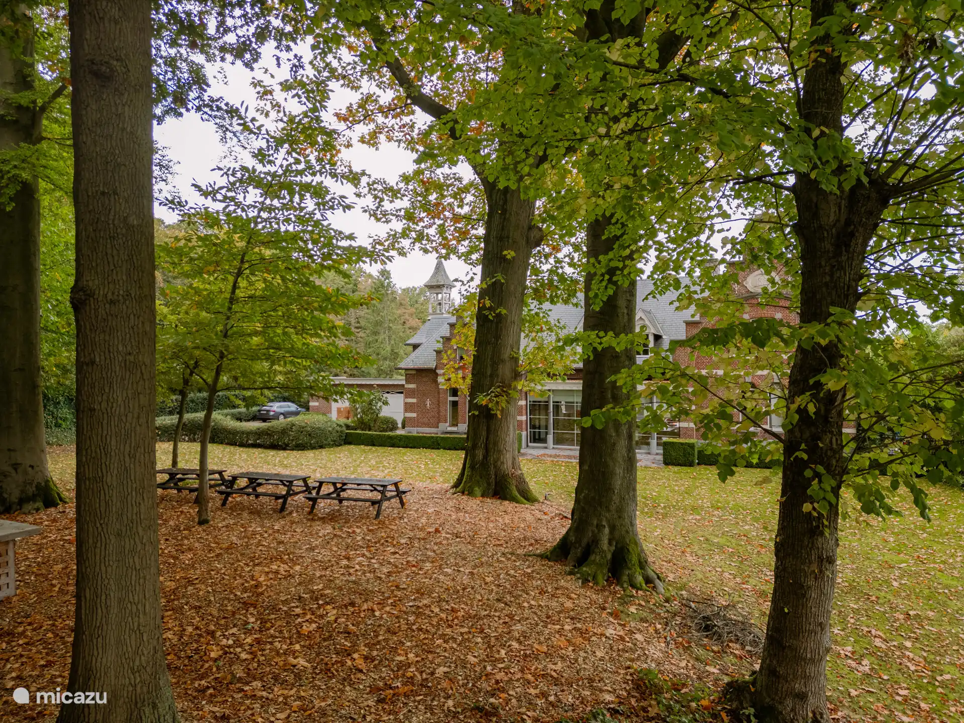 2. Picknickzone im Schatten der großen Bäume 