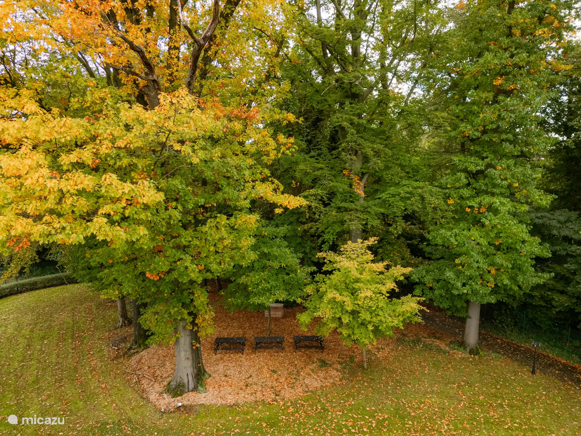 Esstische im Wald auf dem Anwesen
