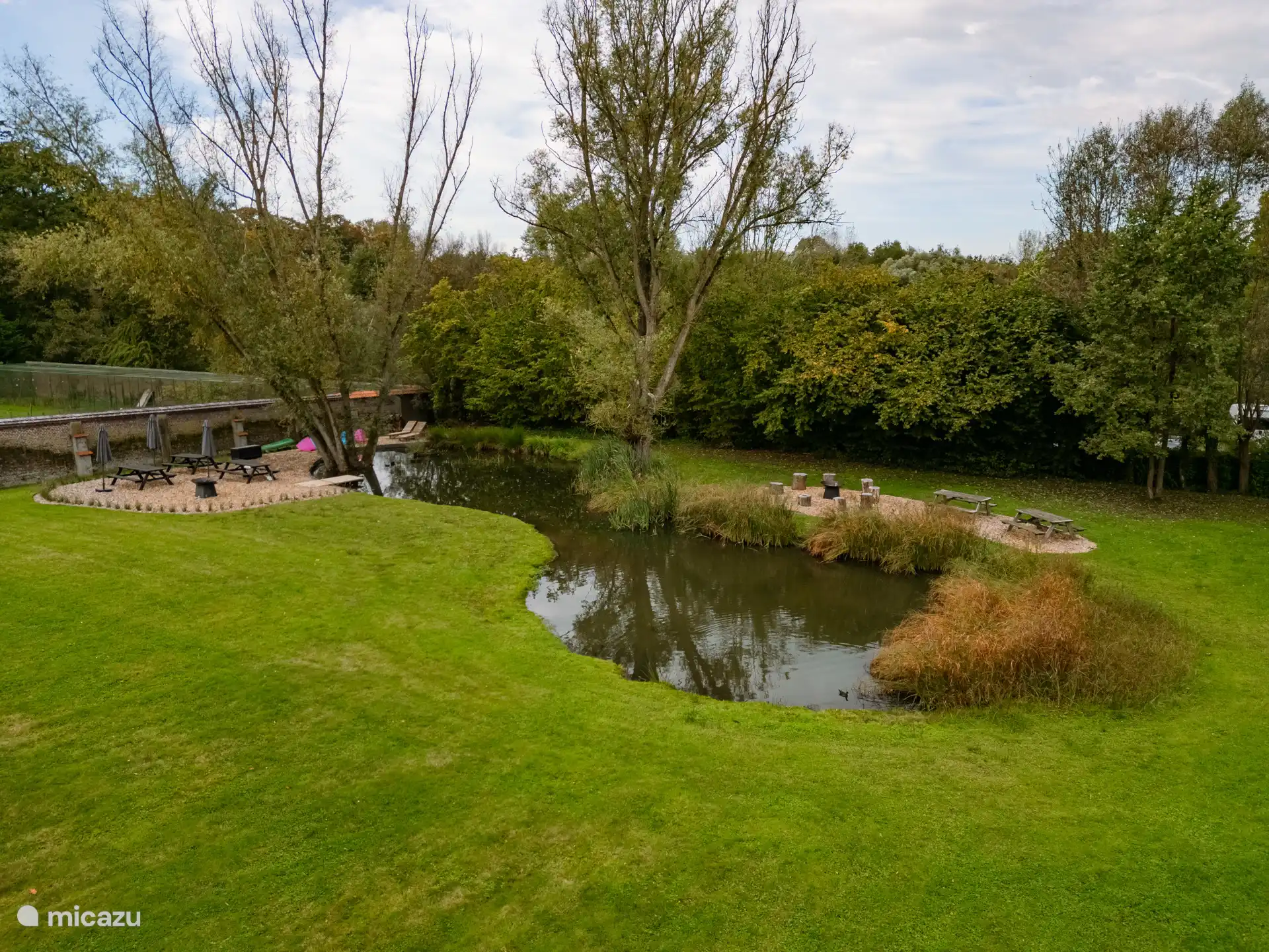 Blick auf unseren natürlichen (Schwimm-)Teich