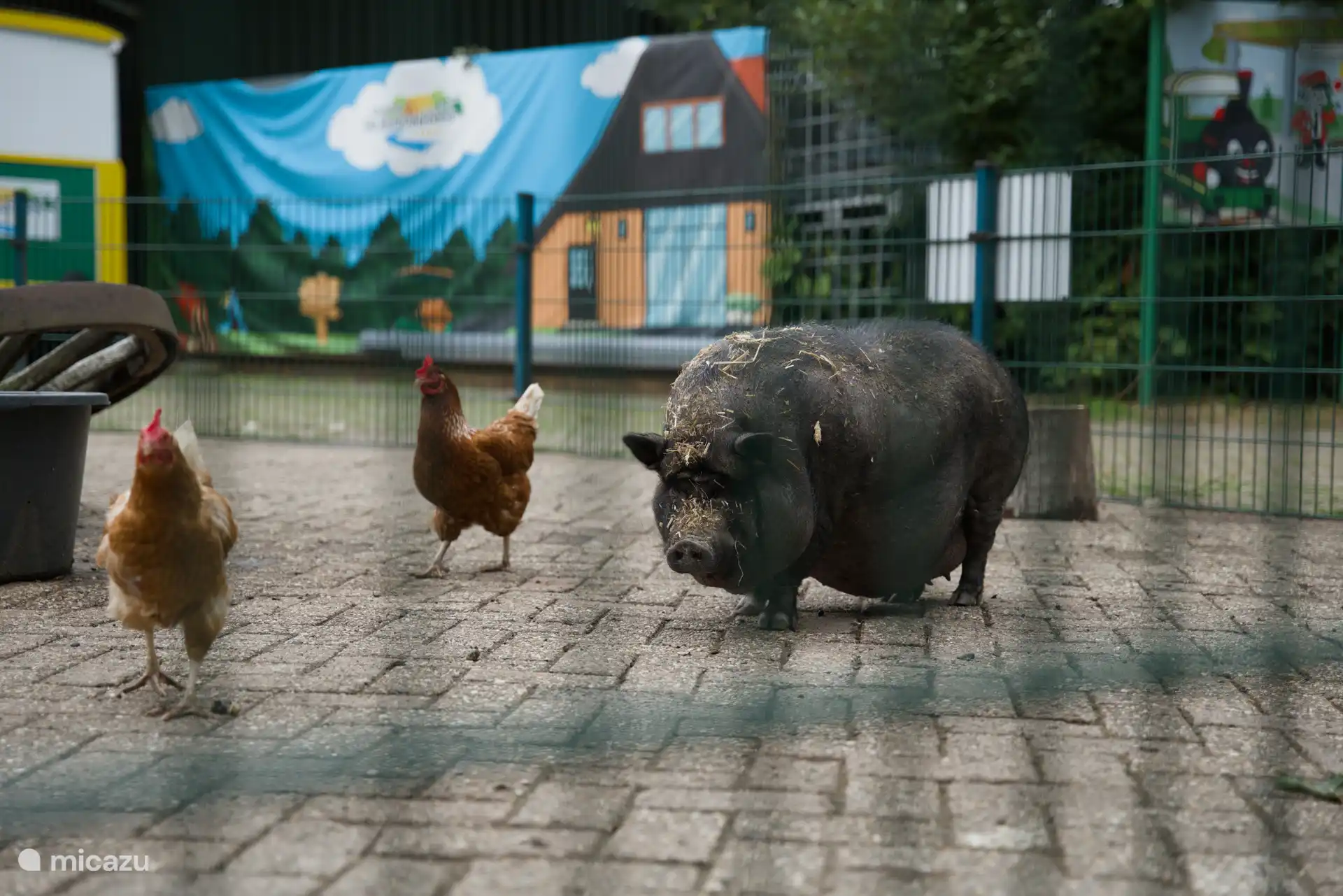 Une ferme d’animaux