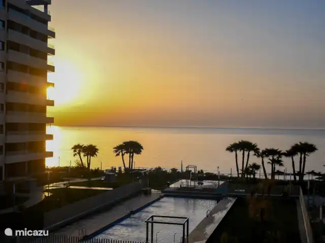 Première ligne vue mer Posidonia | Espagne, Costa Blanca, Torrevieja - appartement La piscine en photo est super toute l’année, piscine chauffée et jacuzzi.  derrière