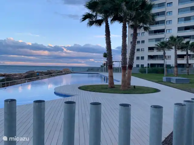 Première ligne vue mer Posidonia | Espagne, Costa Blanca, Torrevieja - appartement Piscine à débordement à 50m juste à côté de la mer