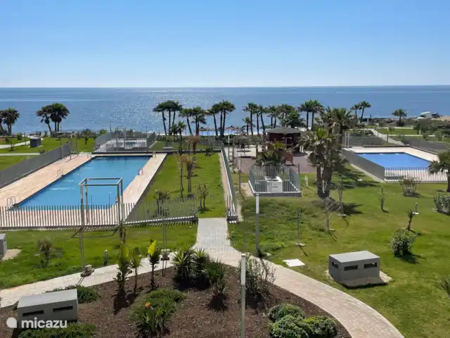 Première ligne vue mer Posidonia | Espagne, Costa Blanca, Torrevieja - appartement Grande piscine chauffée (toute l’année), jacuzzi derrière, grande pataugeoire avec aire de jeux.
À l’arrière, il y a une piscine à débordement de 50m