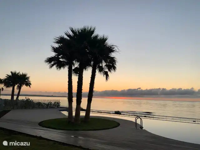 Première ligne vue mer Posidonia | Espagne, Costa Blanca, Torrevieja - appartement Beau lever de soleil tiré du jardin avec 4 piscines