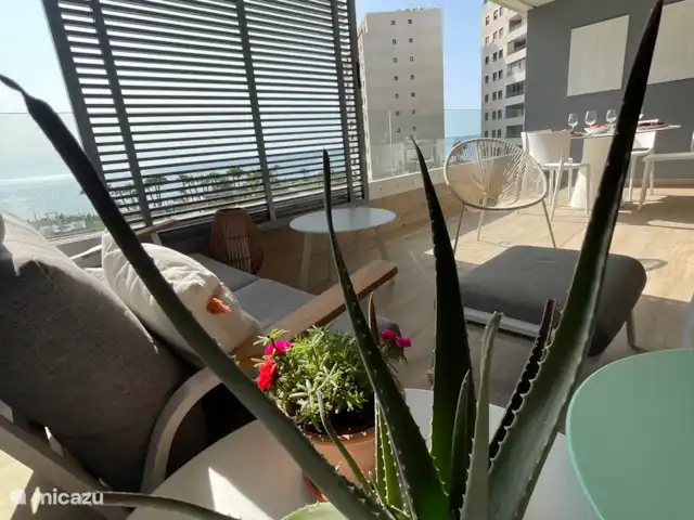 Première ligne vue mer Posidonia | Espagne, Costa Blanca, Torrevieja - appartement Vue sur toute la terrasse