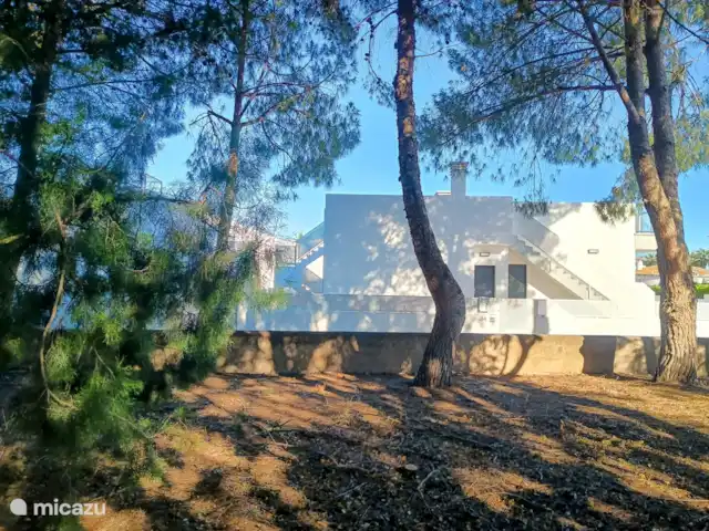 Location de Vacances Espagne, Costa Blanca, Els Poblets, maison mitoyenne - Maison familiale La Pinada Location de Vacances Espagne, Costa Blanca, Els Poblets, maison mitoyenne - Maison familiale La Pinada