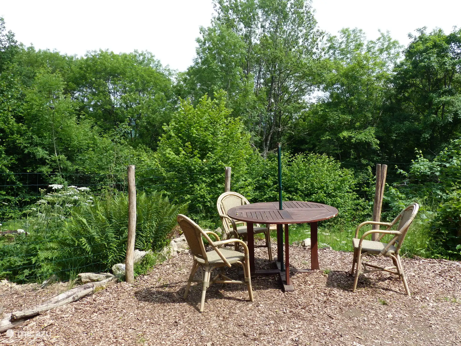 Die Terrasse mit schönem Blick auf den Wald