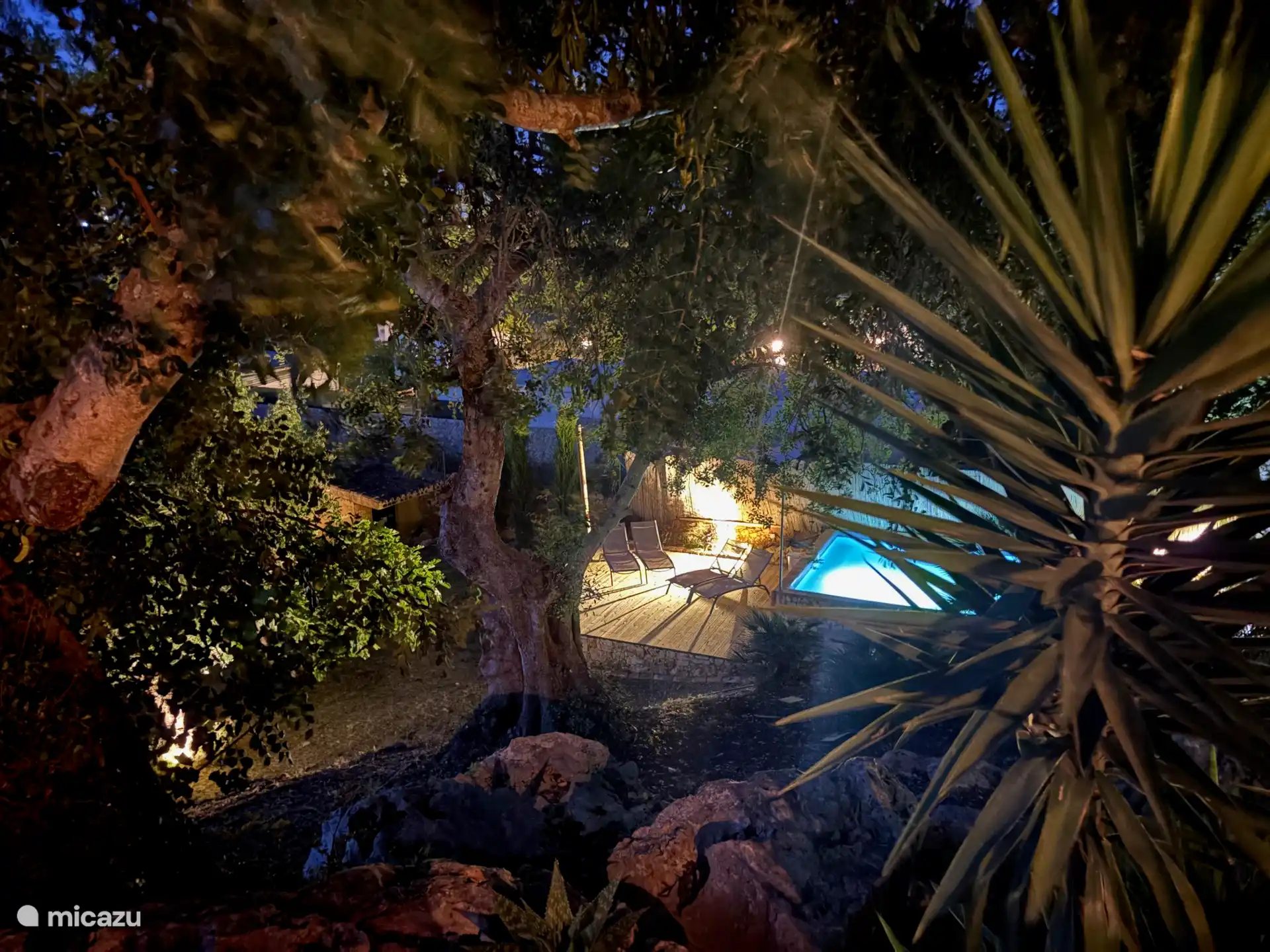 Das Tauchbecken mit Beleuchtung bei Nacht