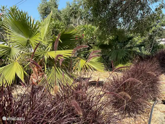 Casa de Paulo | Portugal, Algarve, Olhão - finca Palmiers et graminées orientales sur plusieurs niveaux