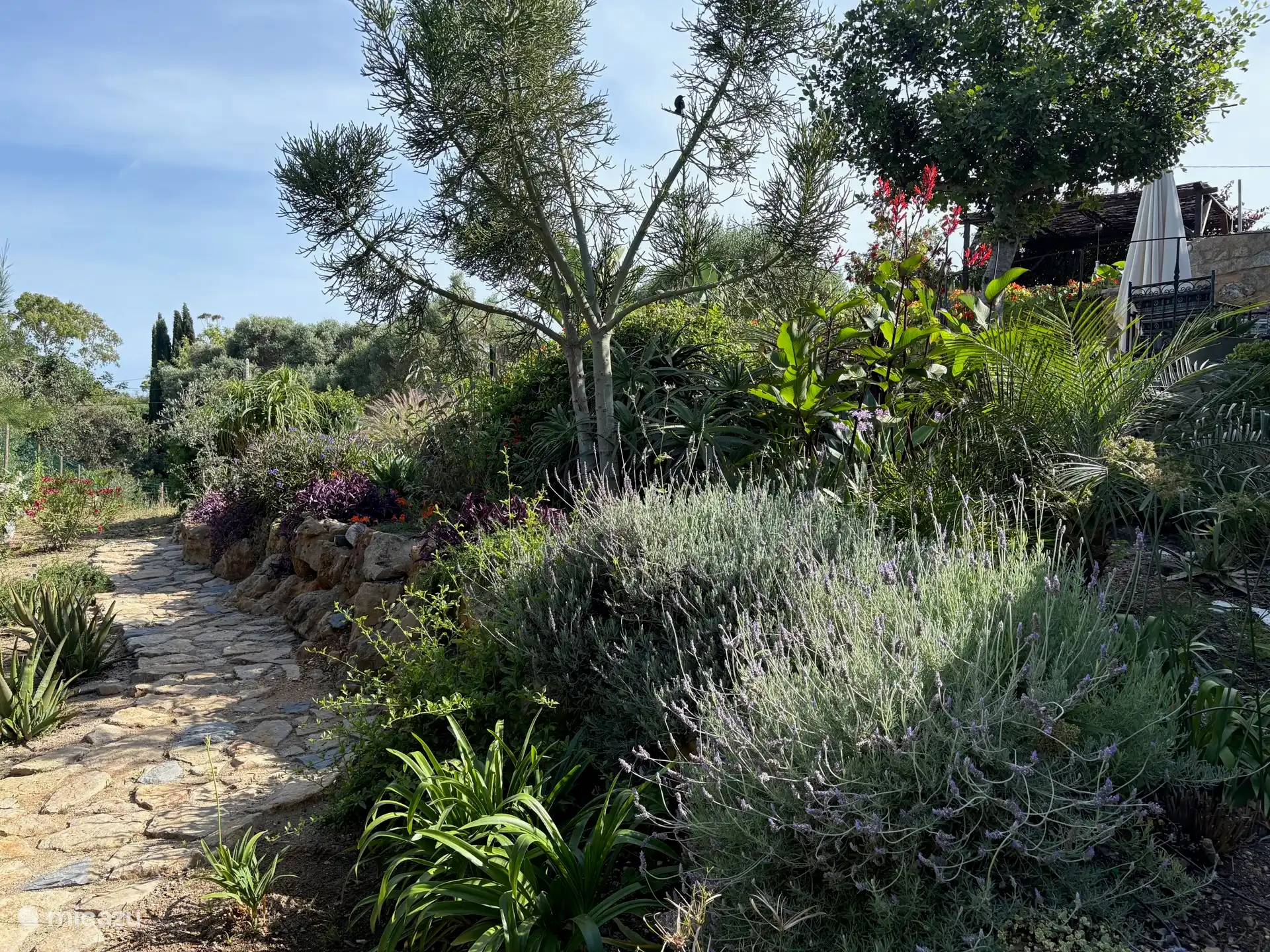 Voll ausgestattete Gärten mit schönen Pflanzen, Bäumen und Sträuchern