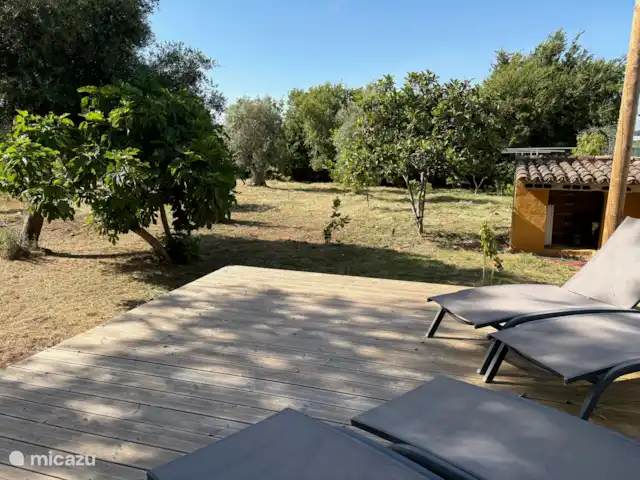 Casa de Paulo | Portugal, Algarve, Olhão - finca Terrasse surplombant le verger avec des avocatiers, des grenadiers, des orangers, des figuiers et des citronniers.