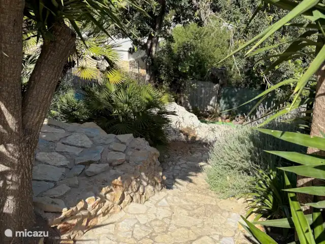 Casa de Paulo | Portugal, Algarve, Olhão - finca Chemin et marches vers le bassin profond