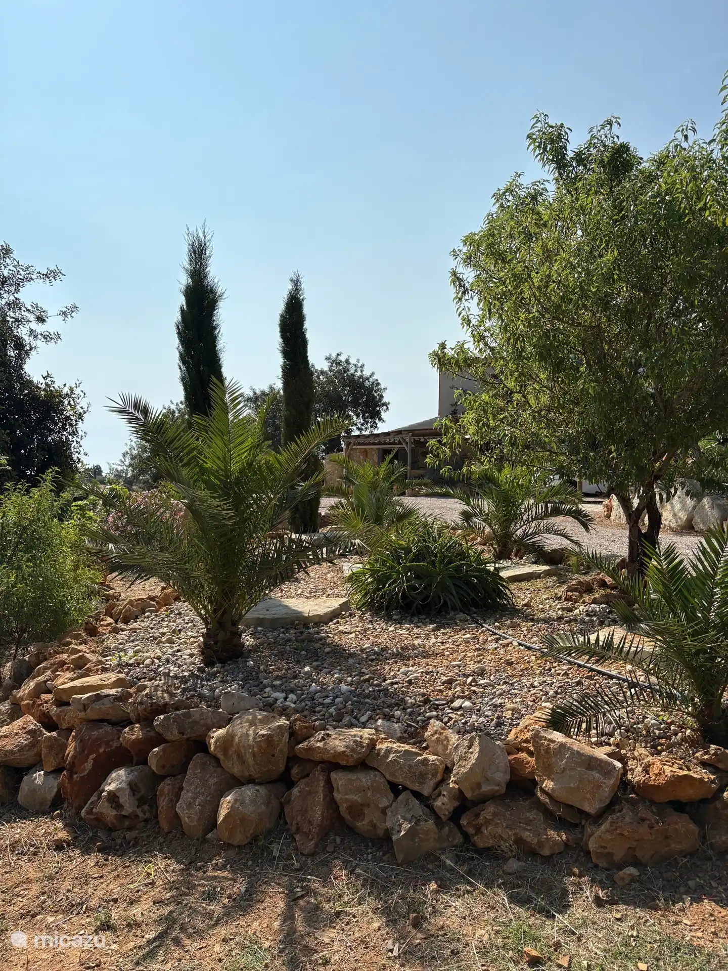 Steingarten mit Palmen, Zypressen, Mandeln und Kakteen