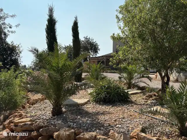 Casa de Paulo | Portugal, Algarve, Olhão - finca Rocaille avec palmiers, cyprès, amandiers et cactus
