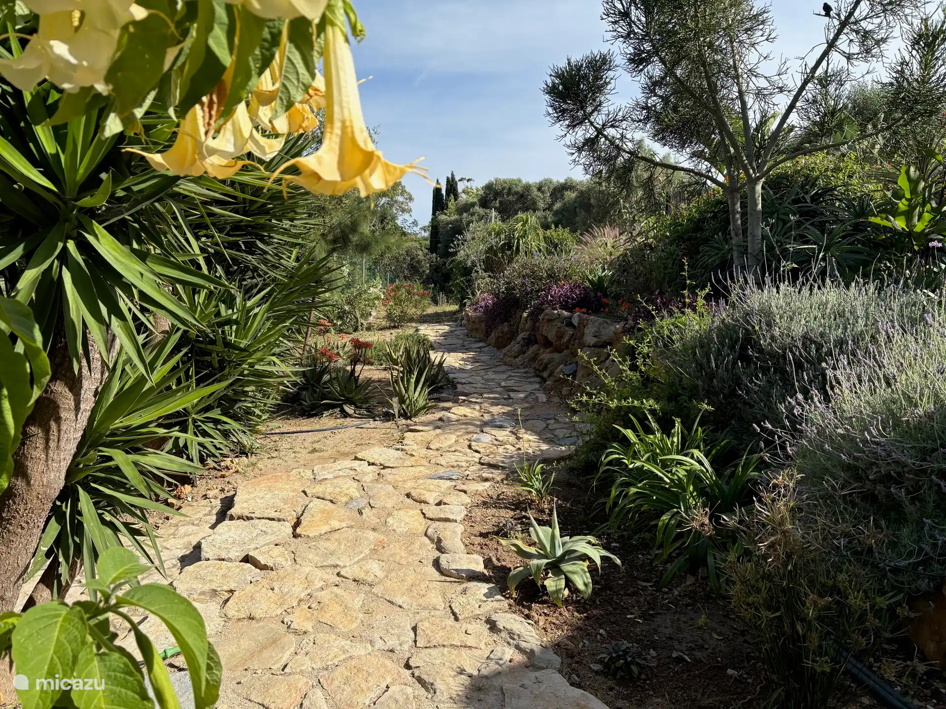 Schöne Gehwege und Zugang zu einem Gartentor und einer Straße, die zur Ria Formosa, Radwegen und Strand führt. 
