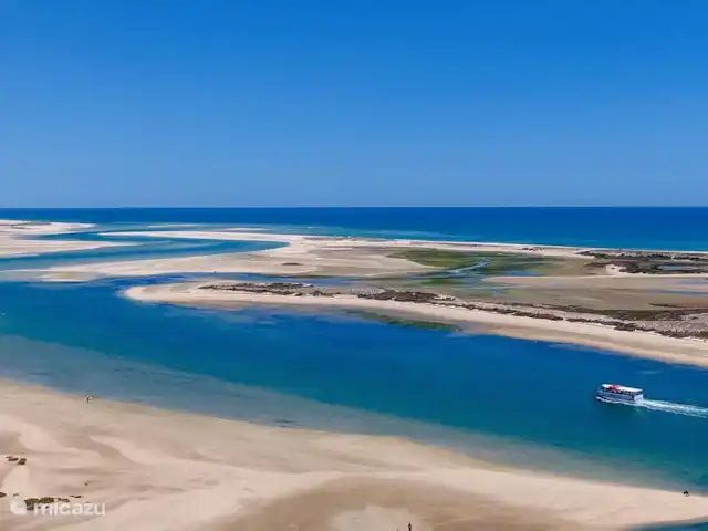 Casa de Paulo | Portugal, Algarve, Olhão - finca Plages de Fuseta et îles de la Ria Formosa