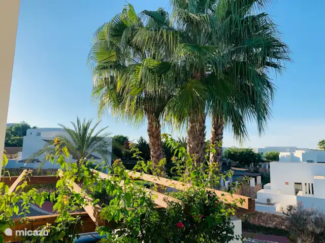 Jacaranda huren in Spanje, Costa Blanca, San Miguel de Salinas - villa Uitzicht op de slaapkamer op de bovenverdieping