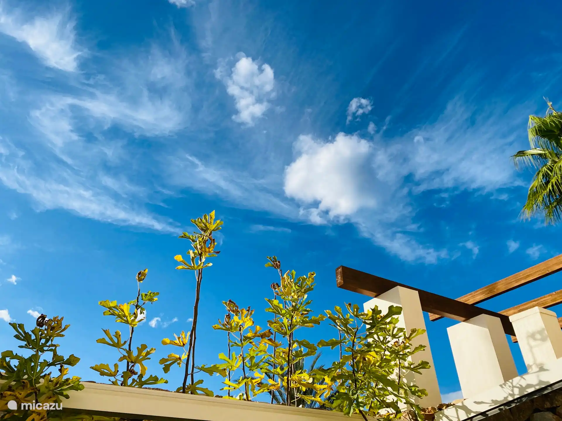 View from the upper bedroom to the terrace 