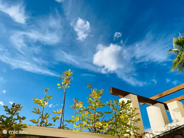 Jacaranda huren in Spanje, Costa Blanca, San Miguel de Salinas - villa Uitzicht vanuit de bovenslaapkamer naar het terras