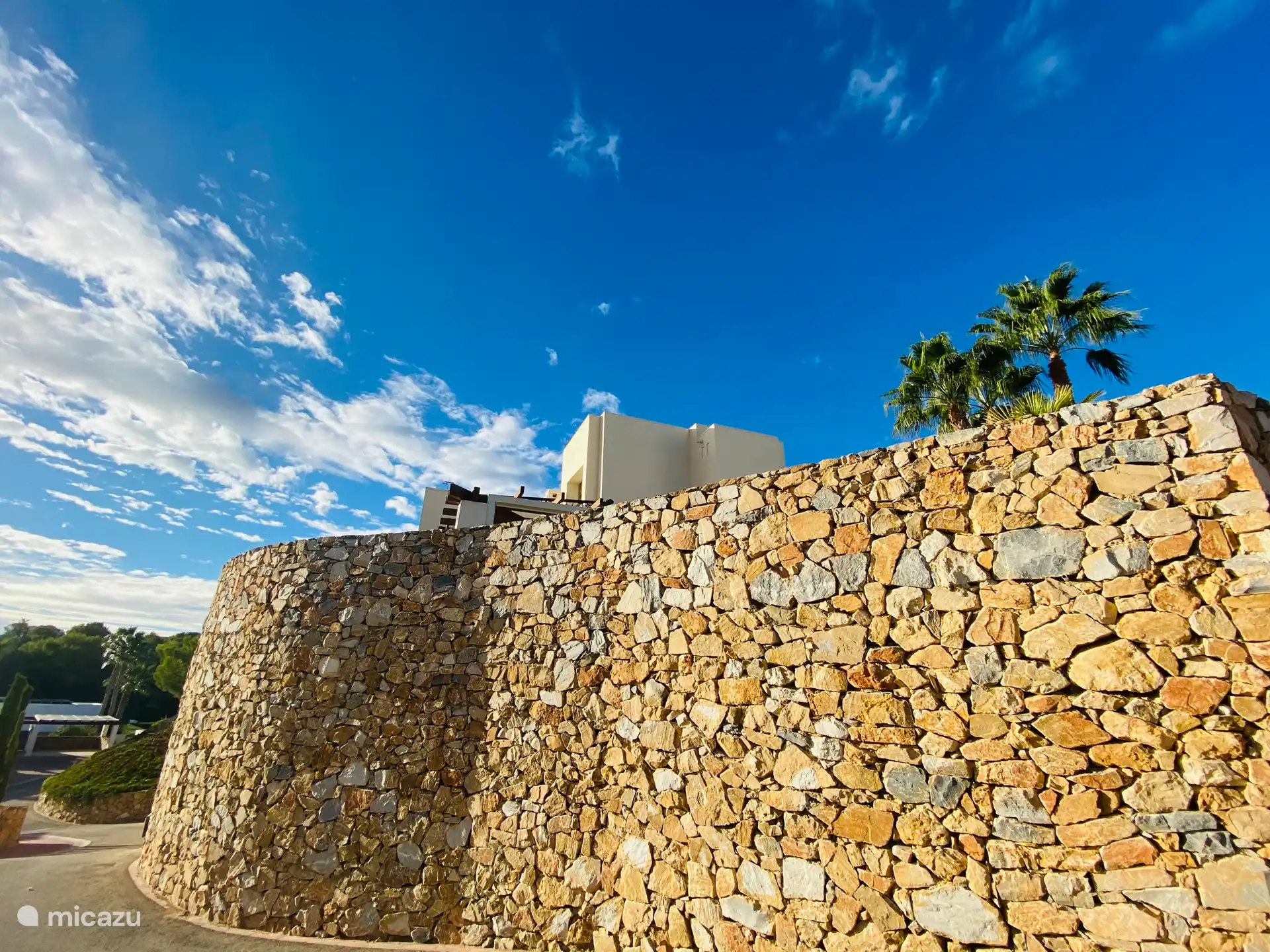 Back wall of the house 