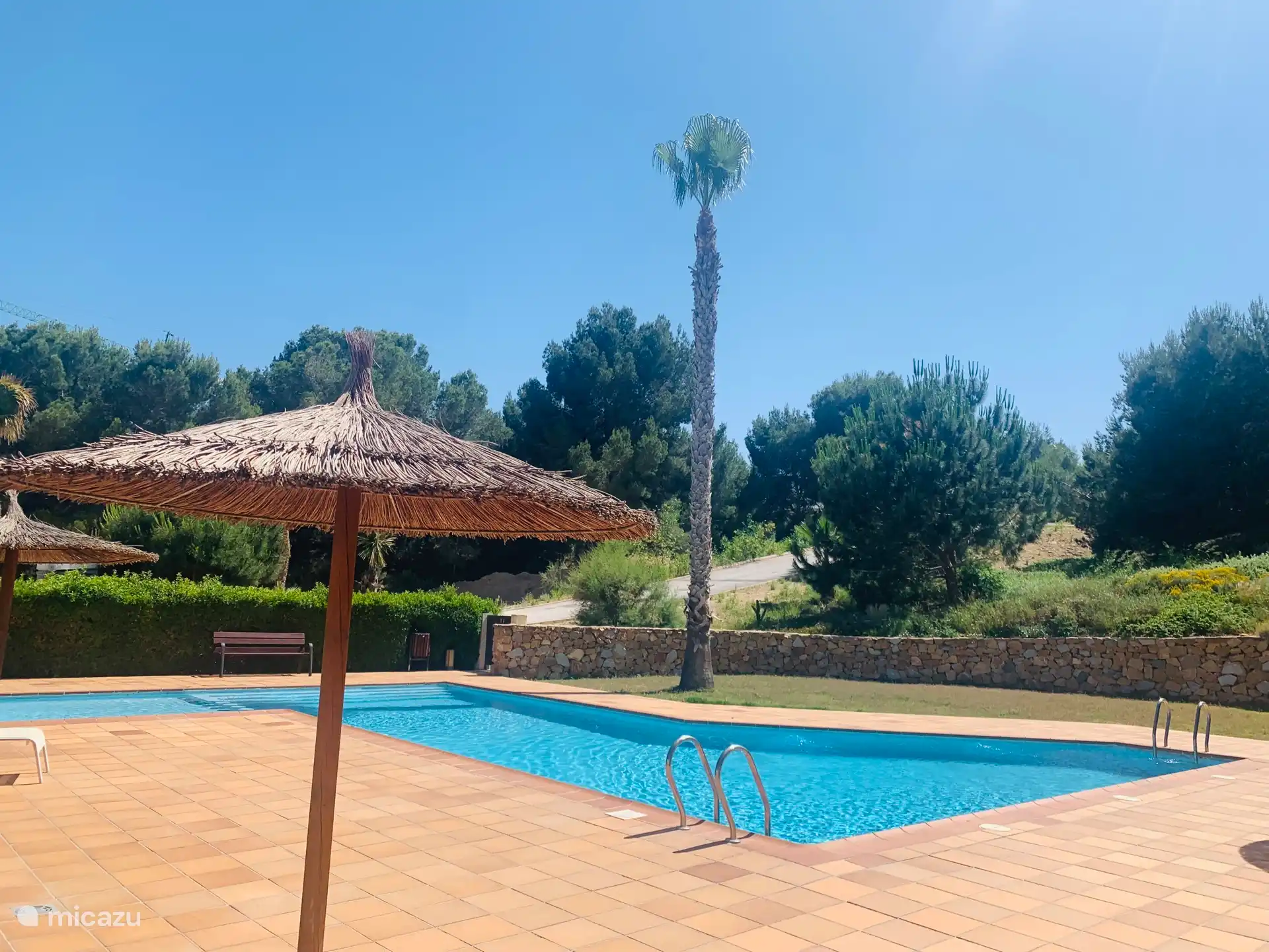 Communal swimming pool for 4 villas 