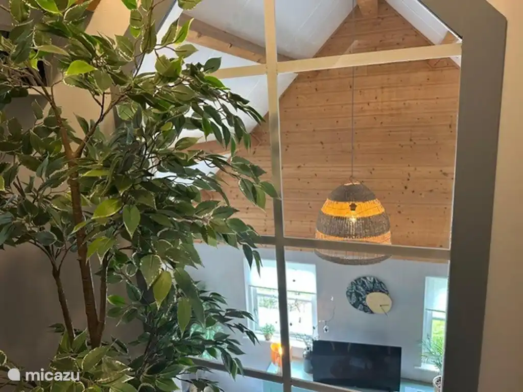 Blick durch das Fenster