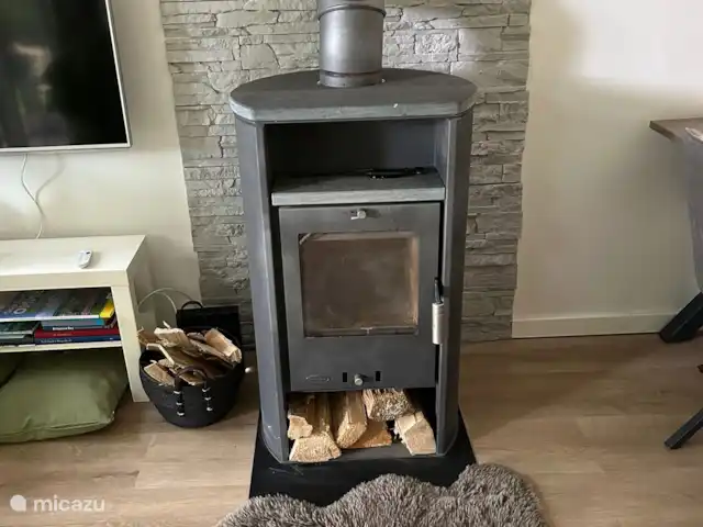 Maison forestière confortable dans le Vechtdal | Pays-Bas, Overijssel, Stegeren - maison de vacances