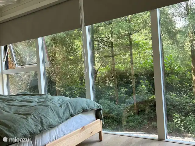 Maison forestière confortable dans le Vechtdal | Pays-Bas, Overijssel, Stegeren - maison de vacances