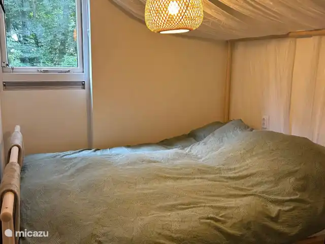 Maison forestière confortable dans le Vechtdal | Pays-Bas, Overijssel, Stegeren - maison de vacances