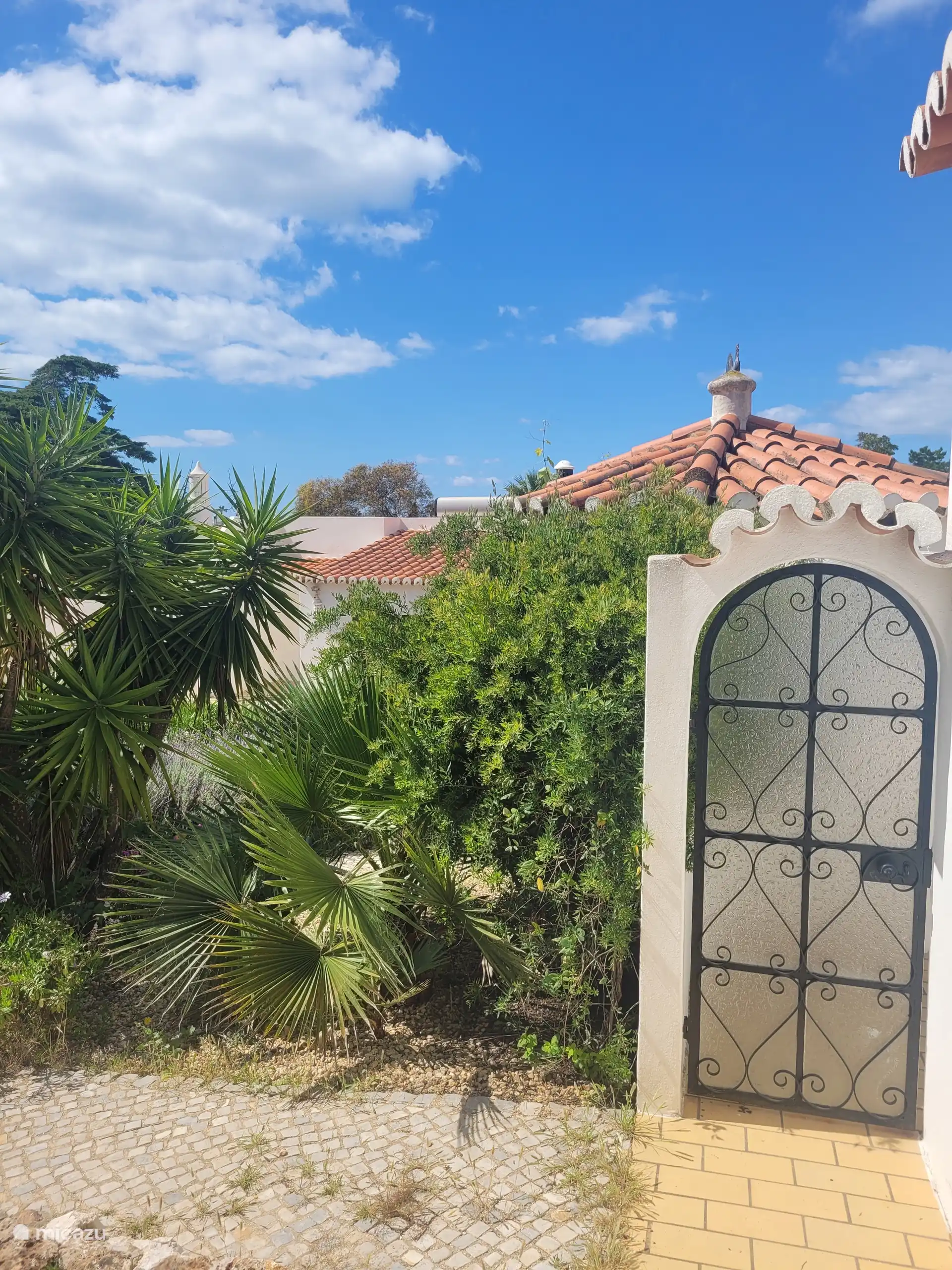 Beau jardin entourant la maison 