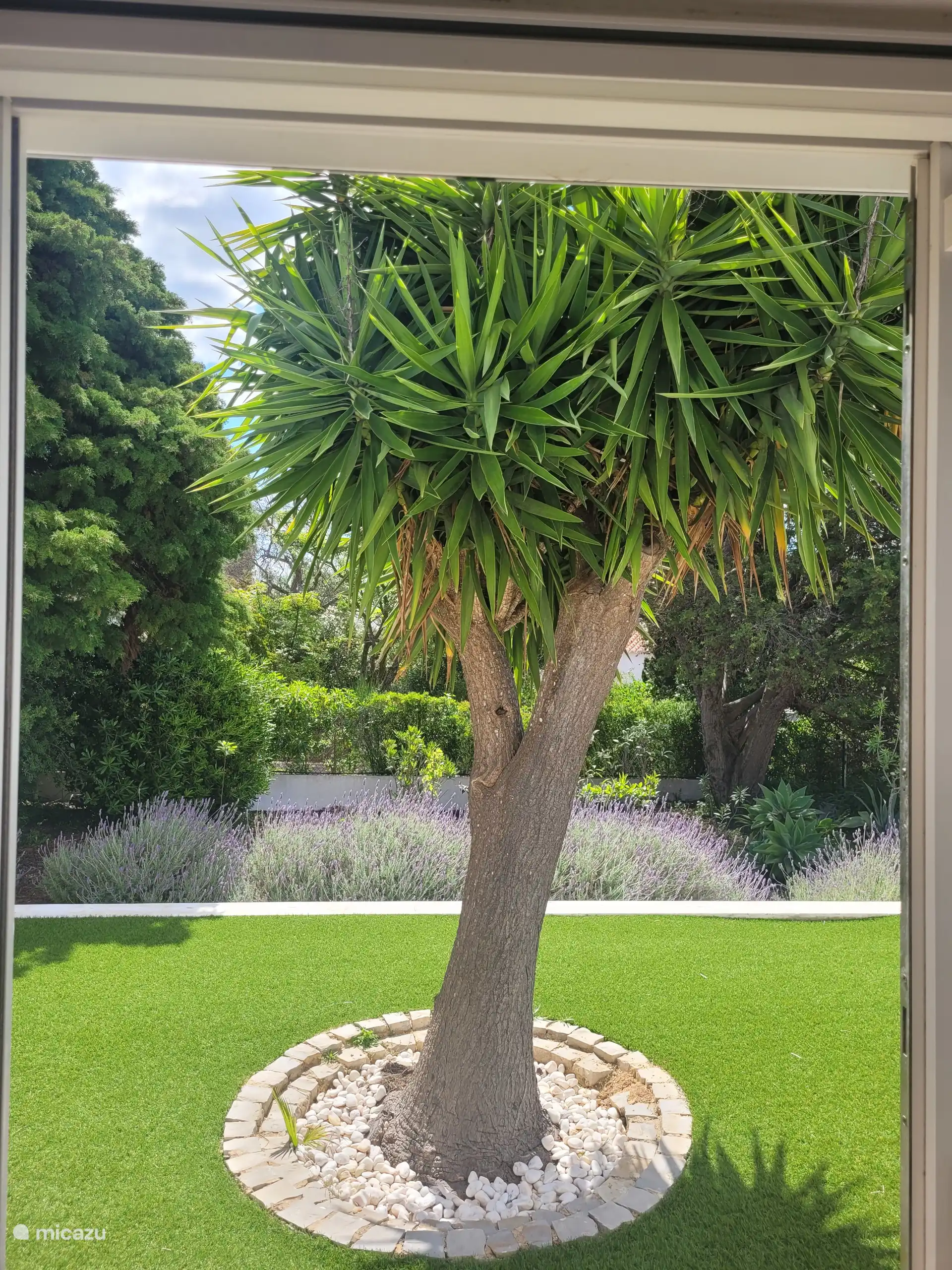 Vue depuis la deuxième chambre, petit jardin privatif 
