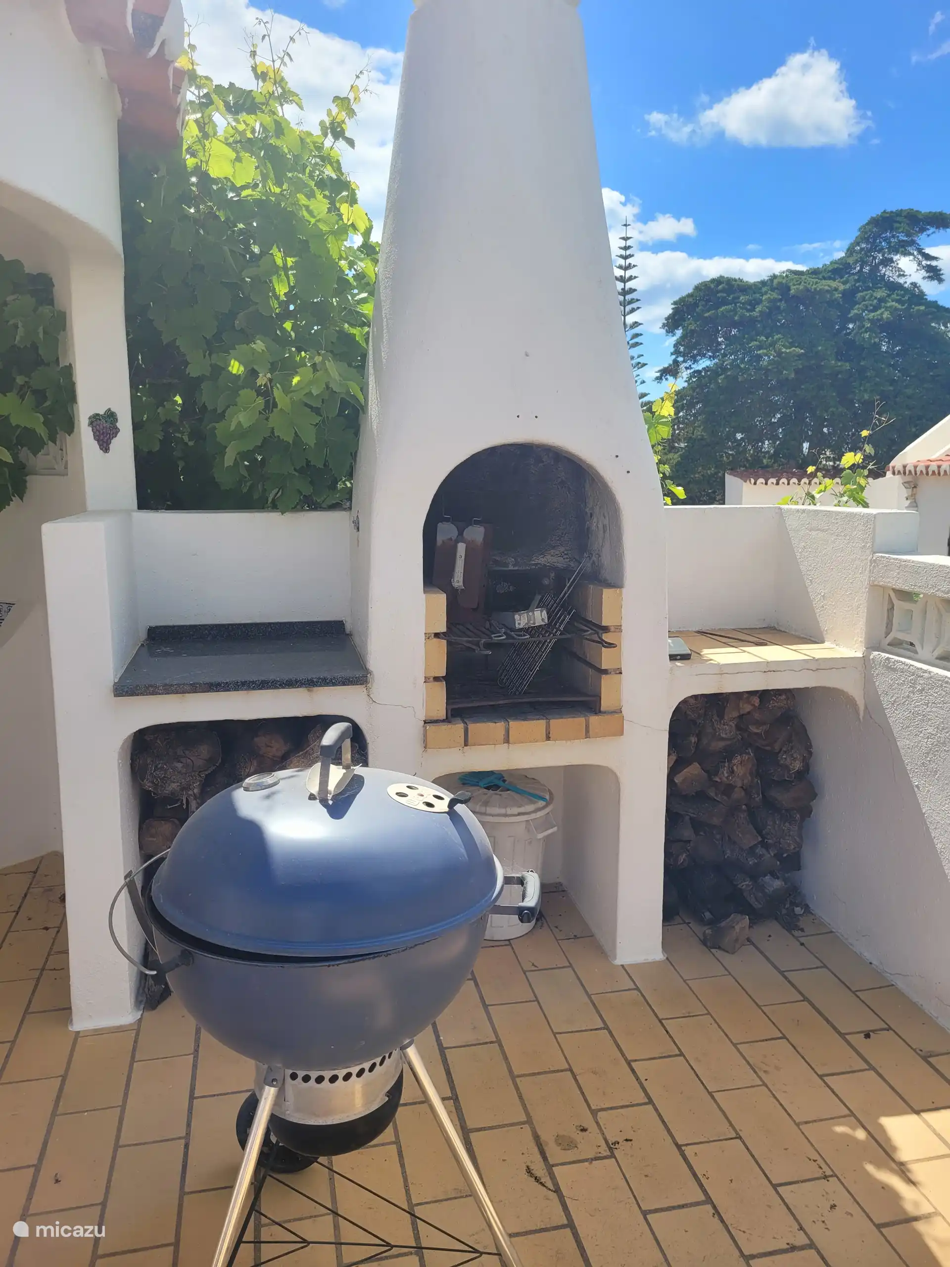 Espace barbecue. Assiette électrique Gourmet supplémentaire disponible 