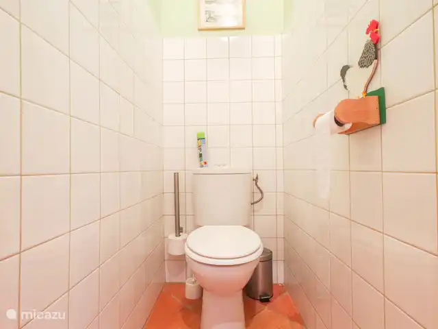 Gite Bacquiès | France, Midi-Pyrénées, Septfonds - maison de vacances Toilet separé