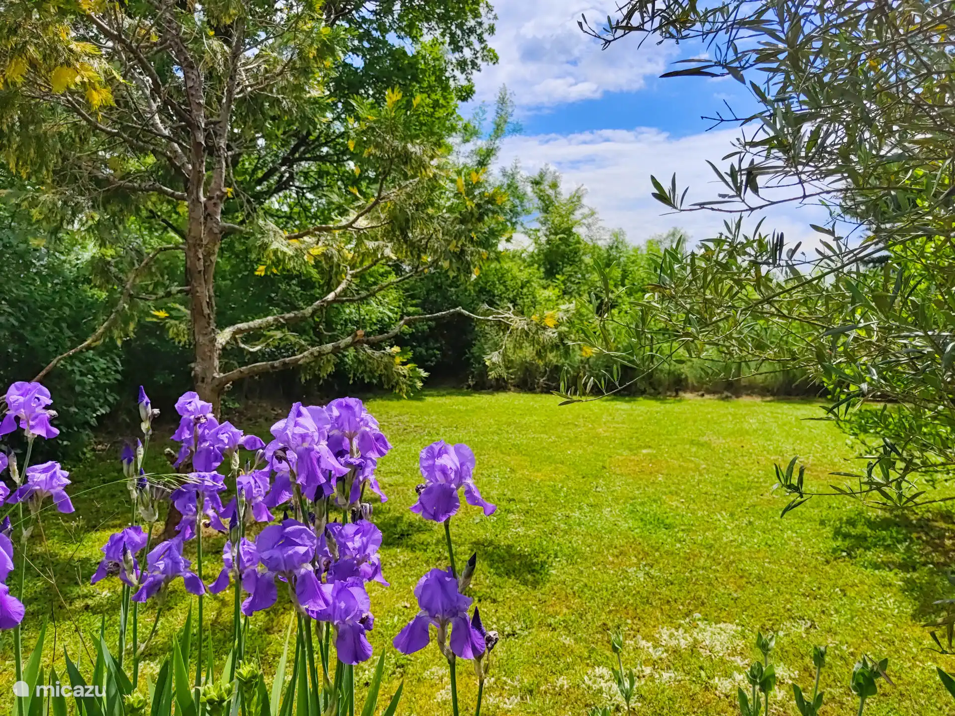 Vollständig umzäunter Garten mit beheiztem Außenpool (9x6m), Terrasse und Schattengarten, umgeben von dem Ackerland von Septfonds.