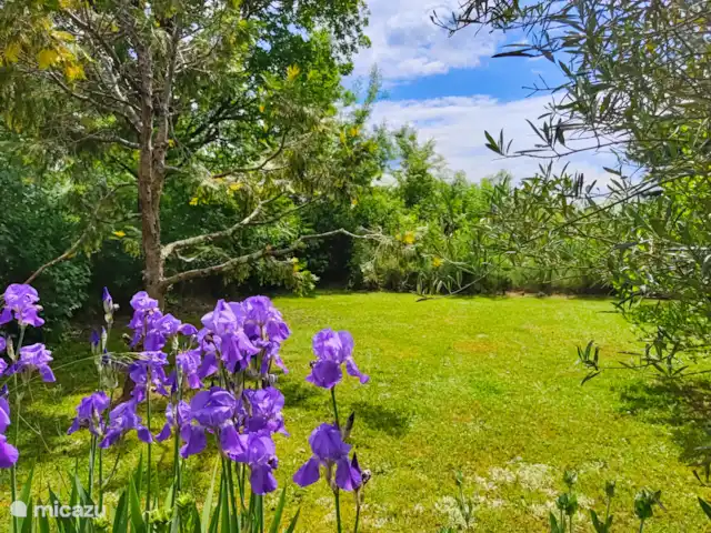 Gite Bacquiès | France, Midi-Pyrénées, Septfonds - maison de vacances Jardin entièrement clos avec piscine extérieure chauffée (9x6m), terrasse et jardin d'ombrage, entouré par les terres agricoles de Septfonds.