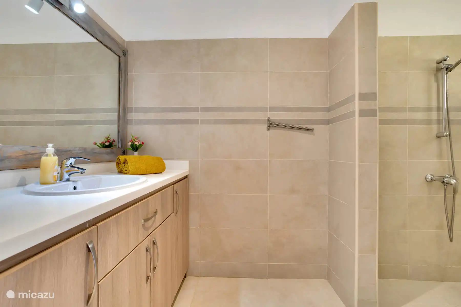 Badkamer gasten slaapkamer 1