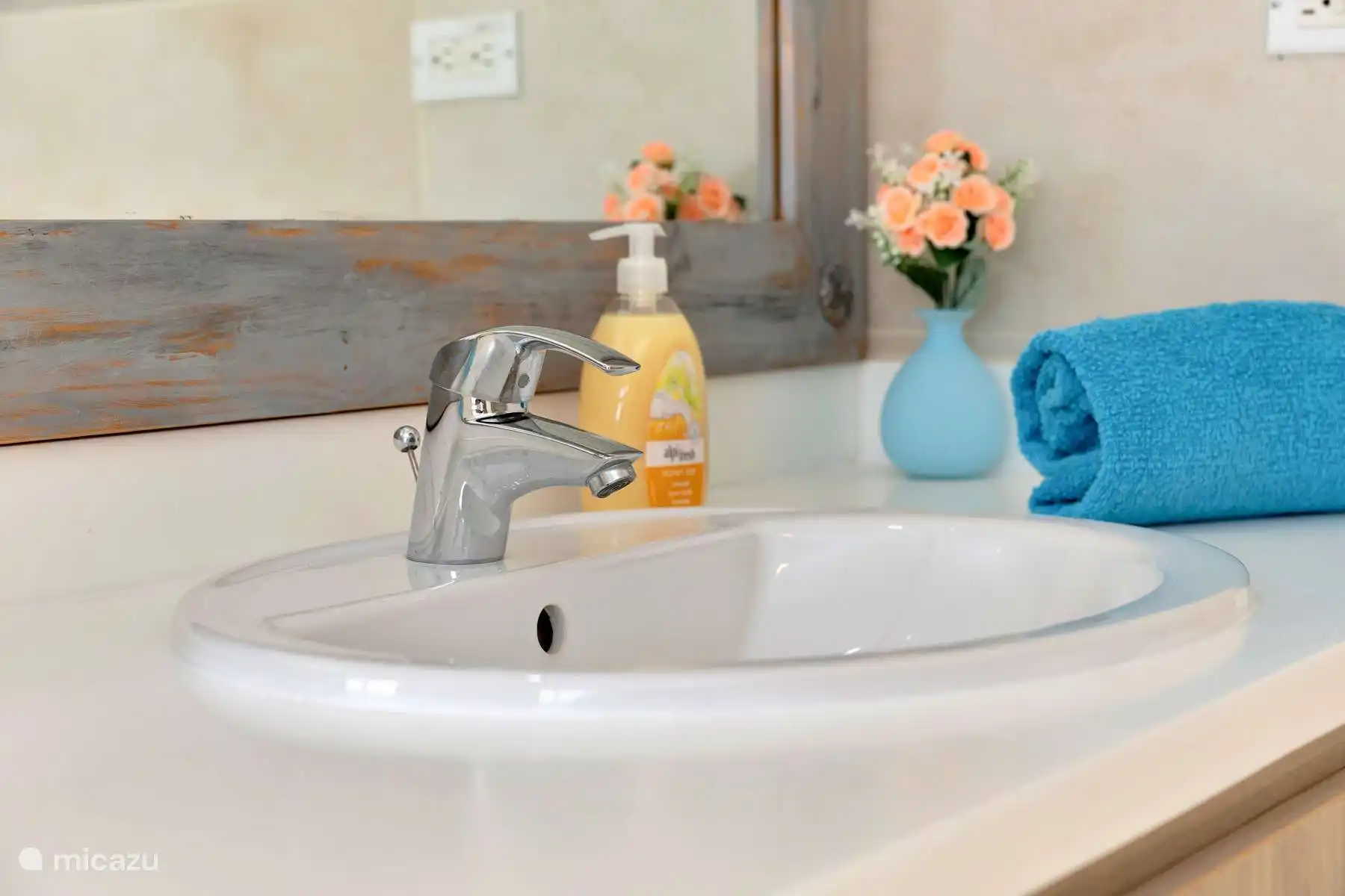 Badkamer gasten slaapkamer